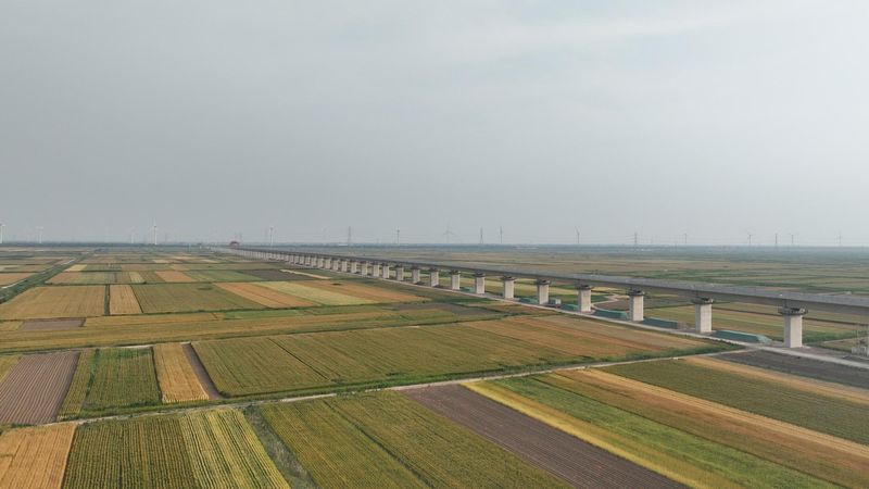  热潮涌动吹响实干“冲锋号” “马”力全开奋战新春“开门红” 新闻