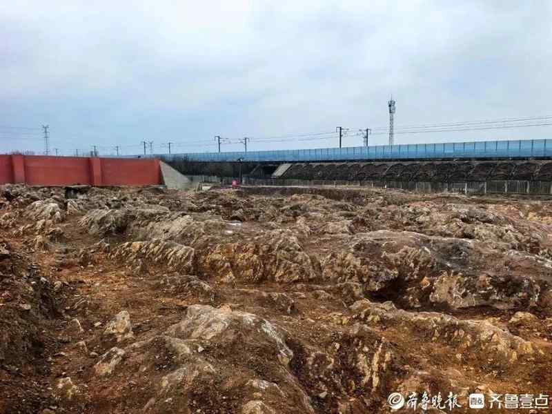  山东修高铁站挖出约5亿年前石海，专家称系寒武纪石灰岩，当地：已保护起来，正实地考察 新闻 山东修高铁站挖出约5亿年前石海，专家称系寒武纪石灰岩，当地：已保护起来，正实地考察 新闻