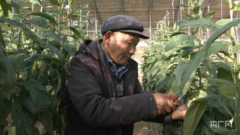  【习声回响】让老百姓幸福就是党的事业_0225005839 新闻