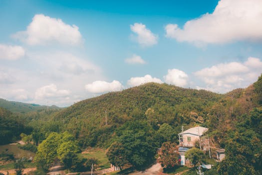 SEC执法主任突然离职，领导层分歧显现；执法方向调整引发关注。