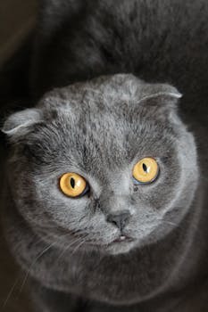 从无序到有序：人工智能数字空间的法治之路 新闻