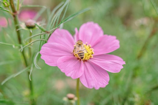 从大模型内卷到AI向实转型；资本市场如何更好助力重资产科技企业长远布局。