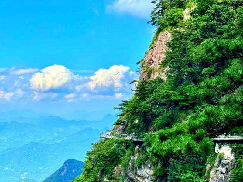  从细节到财富：属鸡人4月下旬的财务效率跃升机制 新闻