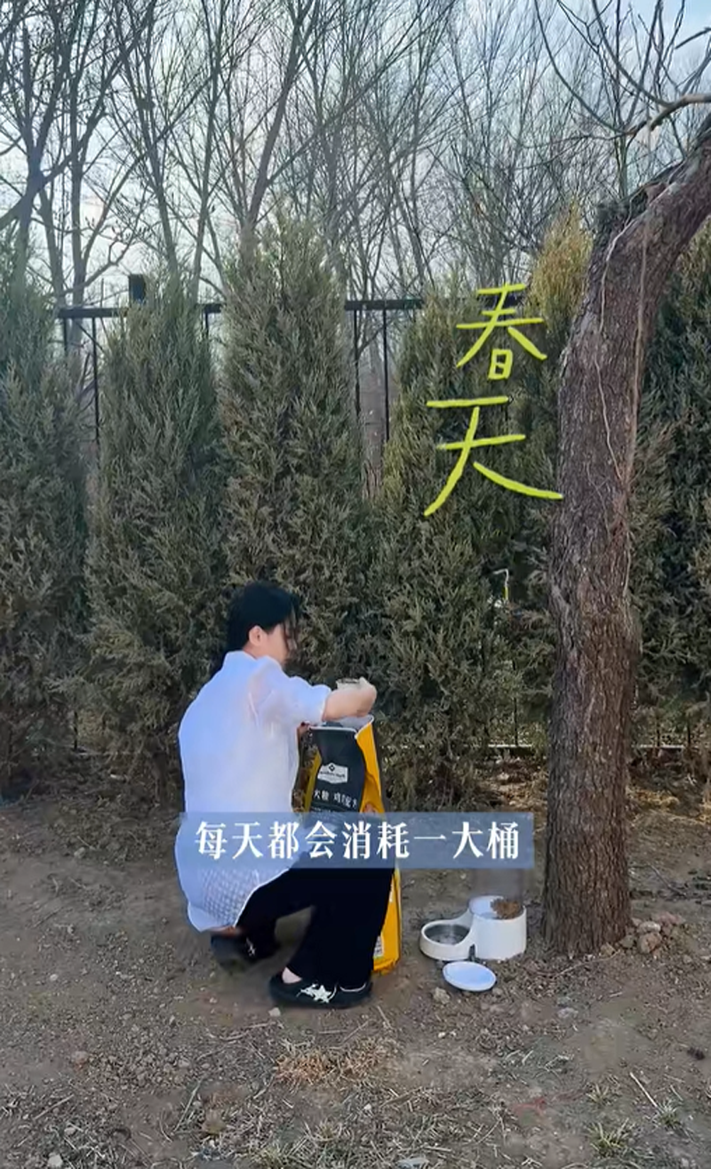  独居经济学：46岁单身女性的居住安全与心理自洽方案 情感心理