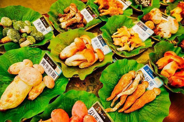  【深度复盘】昆明野生菌美食文化特色街区：四个月焕新背后的规划逻辑与运营方法论 文化旅游