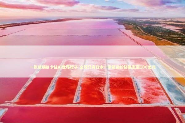 一张玻璃纸卡住AI世界脖子-全球只有日本一家能造价格暴涨至100美元 新闻