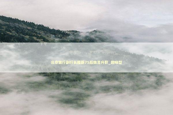 北京银行副行长履新75后魏昱升职_趣味型 新闻