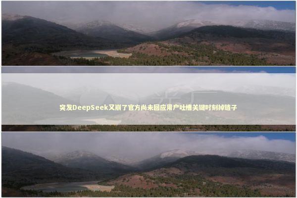 突发DeepSeek又崩了官方尚未回应用户吐槽关键时刻掉链子 新闻