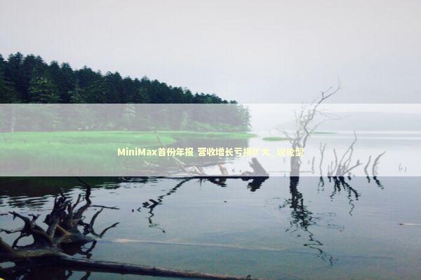 MiniMax首份年报 营收增长亏损扩大_议论型