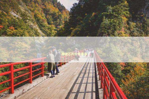 存储芯片价格暴涨 存储芯片价格暴涨 新闻