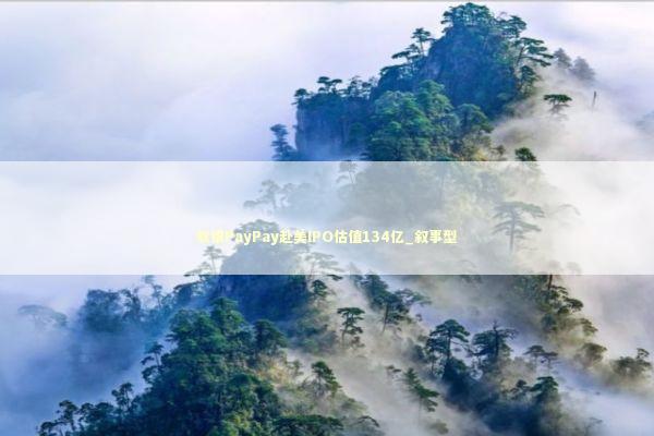 软银PayPay赴美IPO估值134亿_叙事型 新闻