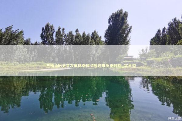 三桶油历史首次集体涨停 A股迎来历史时刻_实用型 新闻