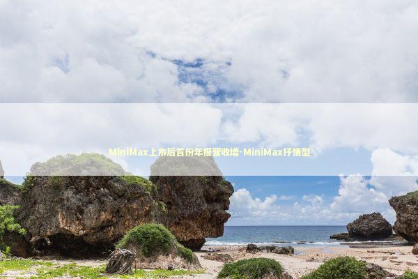 MiniMax上市后首份年报营收增-MiniMax抒情型 新闻