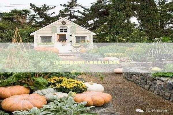 25亿国资集体押注 人形机器人融资爆发 新闻