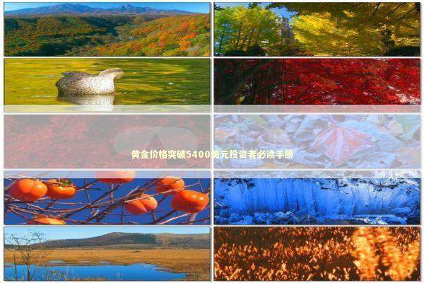 黄金价格突破5400美元投资者必读手册 新闻