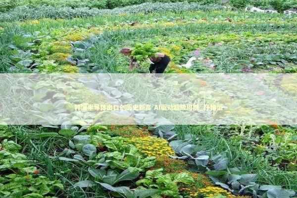 韩国半导体出口创历史新高 AI驱动超级周期_抒情型 新闻