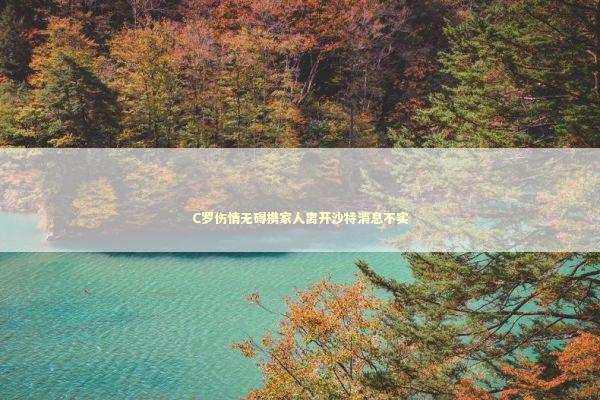 C罗伤情无碍携家人离开沙特消息不实 新闻