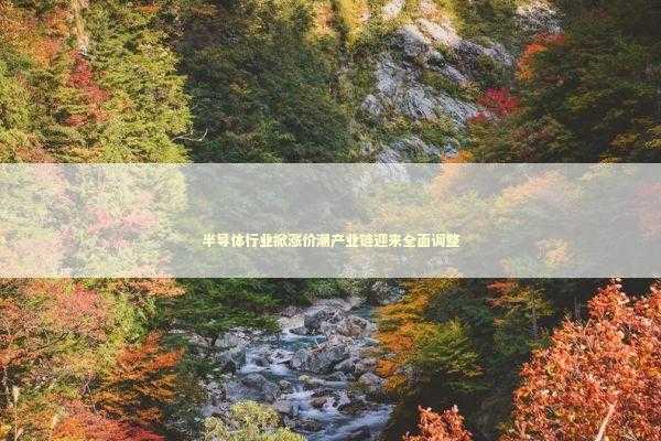 半导体行业掀涨价潮产业链迎来全面调整 新闻