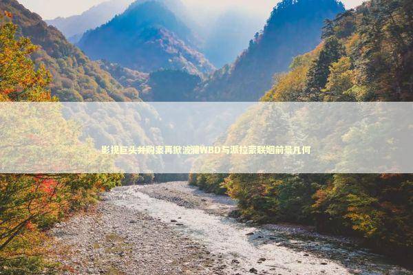 影视巨头并购案再掀波澜WBD与派拉蒙联姻前景几何