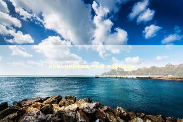 民营银行存款利率跌破2字头银行净息差持续承压 新闻