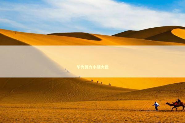 华为算力小题大做