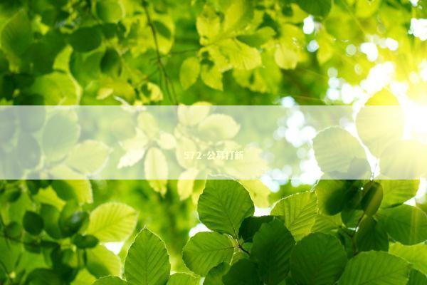 572-公募打新 新闻