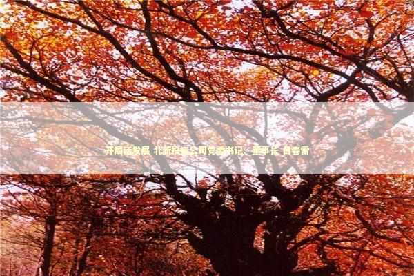 开局话发展 北新投资公司党委书记、董事长 吕春雷 新闻