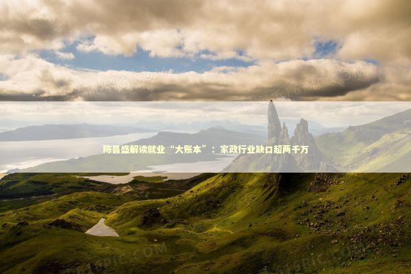 陈昌盛解读就业“大账本”：家政行业缺口超两千万 新闻