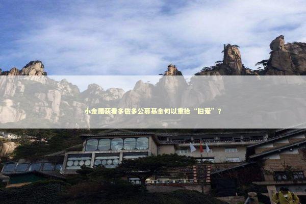 小金属获看多做多公募基金何以重拾“旧爱”？ 新闻