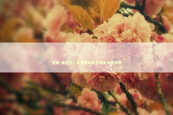 吉姆·奥尼尔：金砖国家能否推出共同货币 新闻