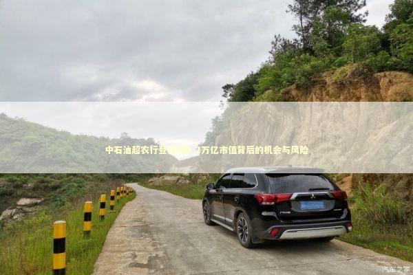 中石油超农行登顶A股 2万亿市值背后的机会与风险 新闻