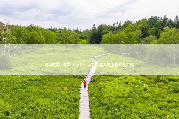 每周5天、每天10小时：人形机器人走上宝马生产线 新闻