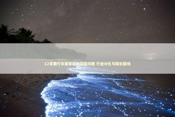 12家银行年报背后的深层问题 行业分化与增长困境 新闻