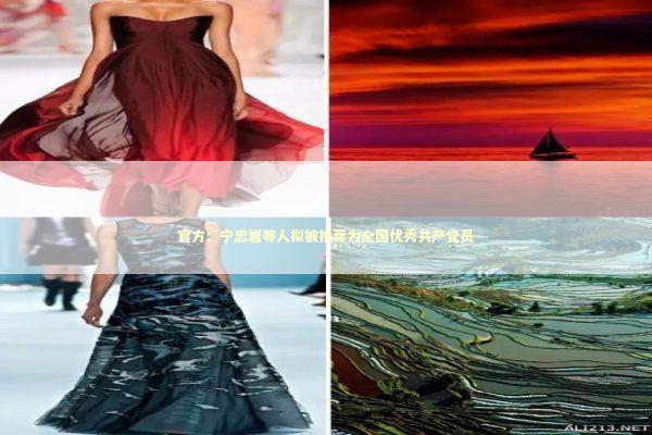 官方：宁忠岩等人拟被推荐为全国优秀共产党员 新闻