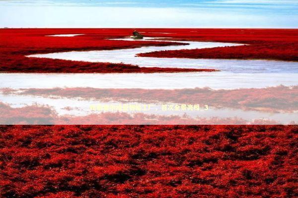 轮胎塞尔维亚智能工厂，首次全景亮相_3 新闻