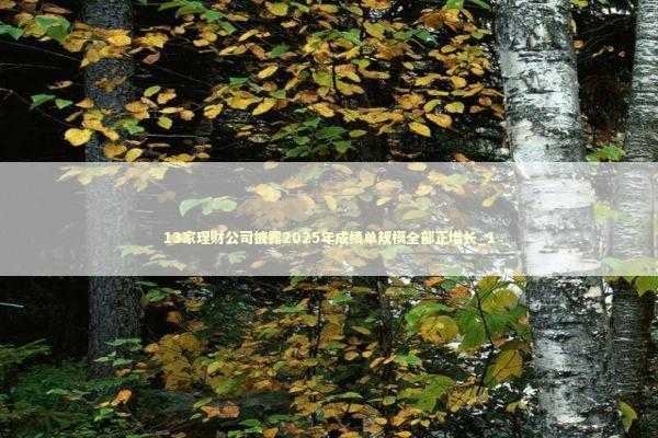 13家理财公司披露2025年成绩单规模全部正增长_1 新闻