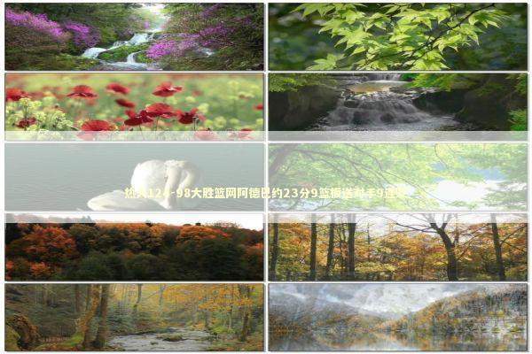 热火124-98大胜篮网阿德巴约23分9篮板送对手9连败 新闻