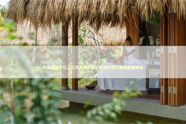 市值重回千亿，三次关键转型，宁波农民打造逆变器龙头 新闻