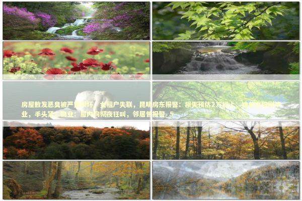 房屋散发恶臭被严重损坏，女租户失联，昆明房东报警：损失预估2万以上，她曾自称刚毕业，手头紧；物业：屋内狗彻夜狂叫，邻居曾报警_5 新闻