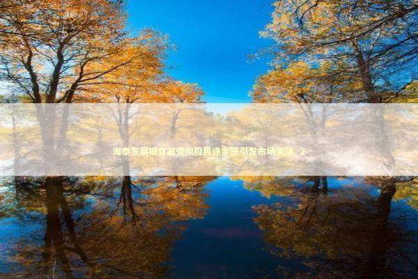 海泰发展被立案受损股民速索赔引发市场关注_2 新闻