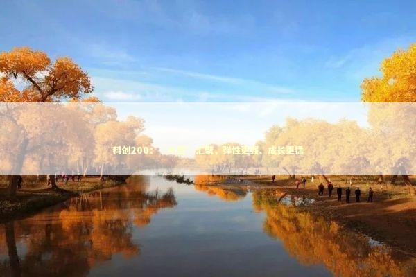 科创200：“小登”汇聚，弹性更强、成长更猛 新闻