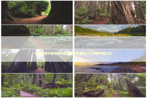 捷豹路虎中国潘庆升任全球采购董事CFO接棒中国CEO