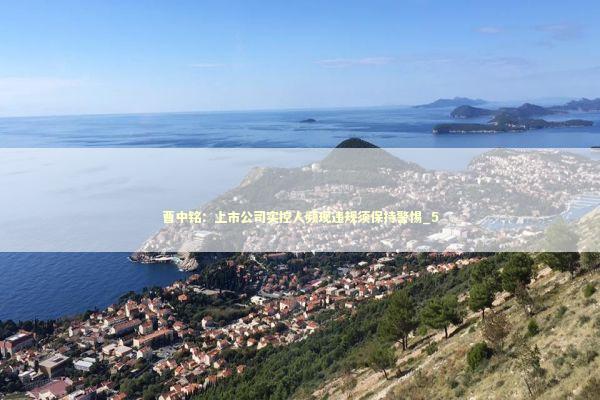 曹中铭：上市公司实控人频现违规须保持警惕_5 新闻