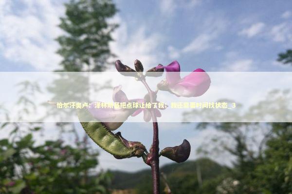 恰尔汗奥卢：泽林斯基把点球让给了我；我还需要时间找状态_3 新闻