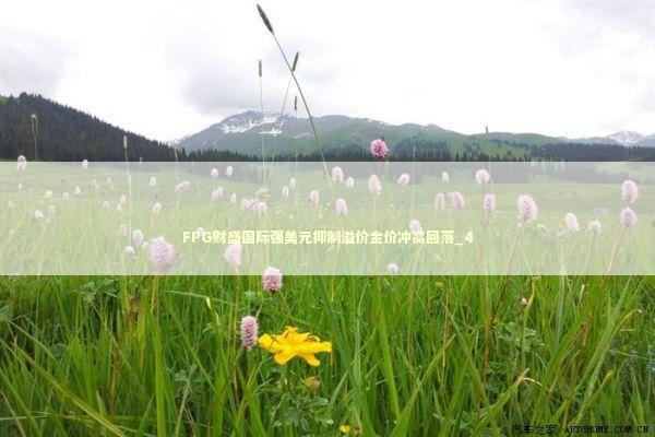 FPG财盛国际强美元抑制溢价金价冲高回落_4