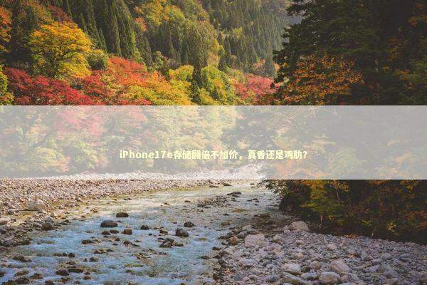 iPhone17e存储翻倍不加价，真香还是鸡肋？