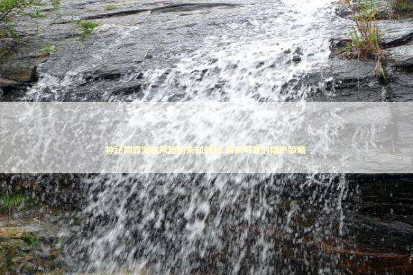 神秘揭露潜在风险的未知领域 带来可靠的防护策略