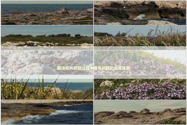 解决软件获取过程中常见问题的实用指南