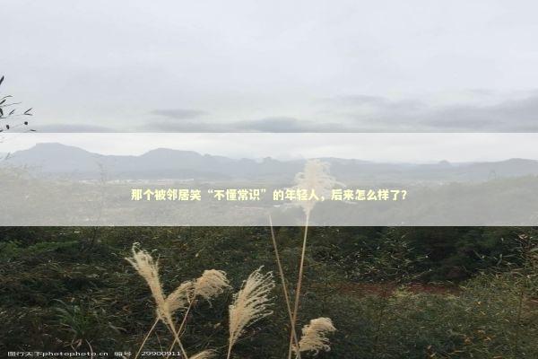 那个被邻居笑“不懂常识”的年轻人，后来怎么样了？ 新闻