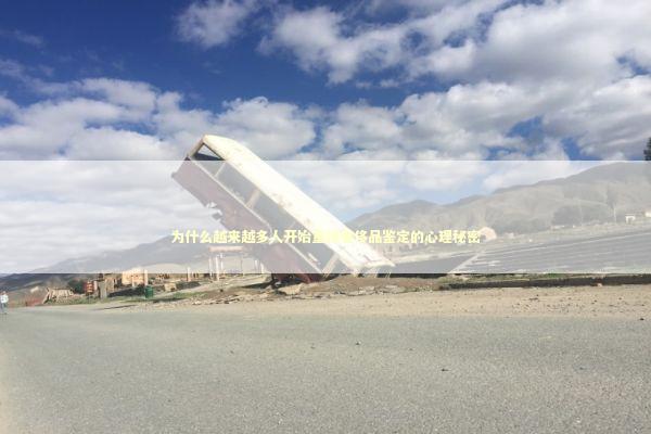 为什么越来越多人开始重视奢侈品鉴定的心理秘密 新闻